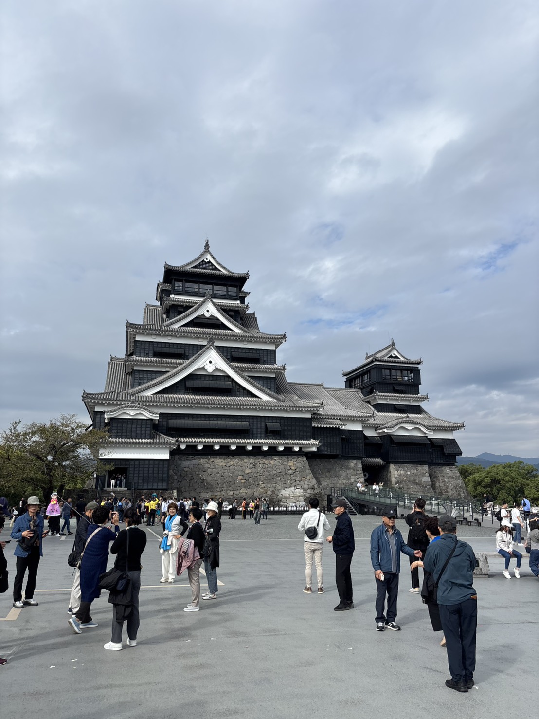 S__11198472.jpg